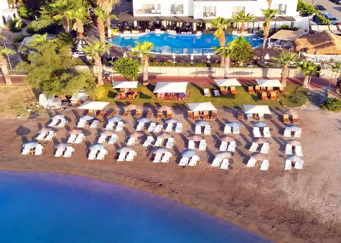 Costa 3s Bodrum